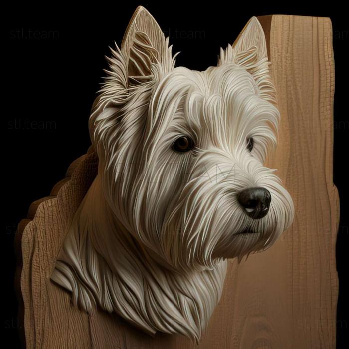 WeHighland White Terrier dog